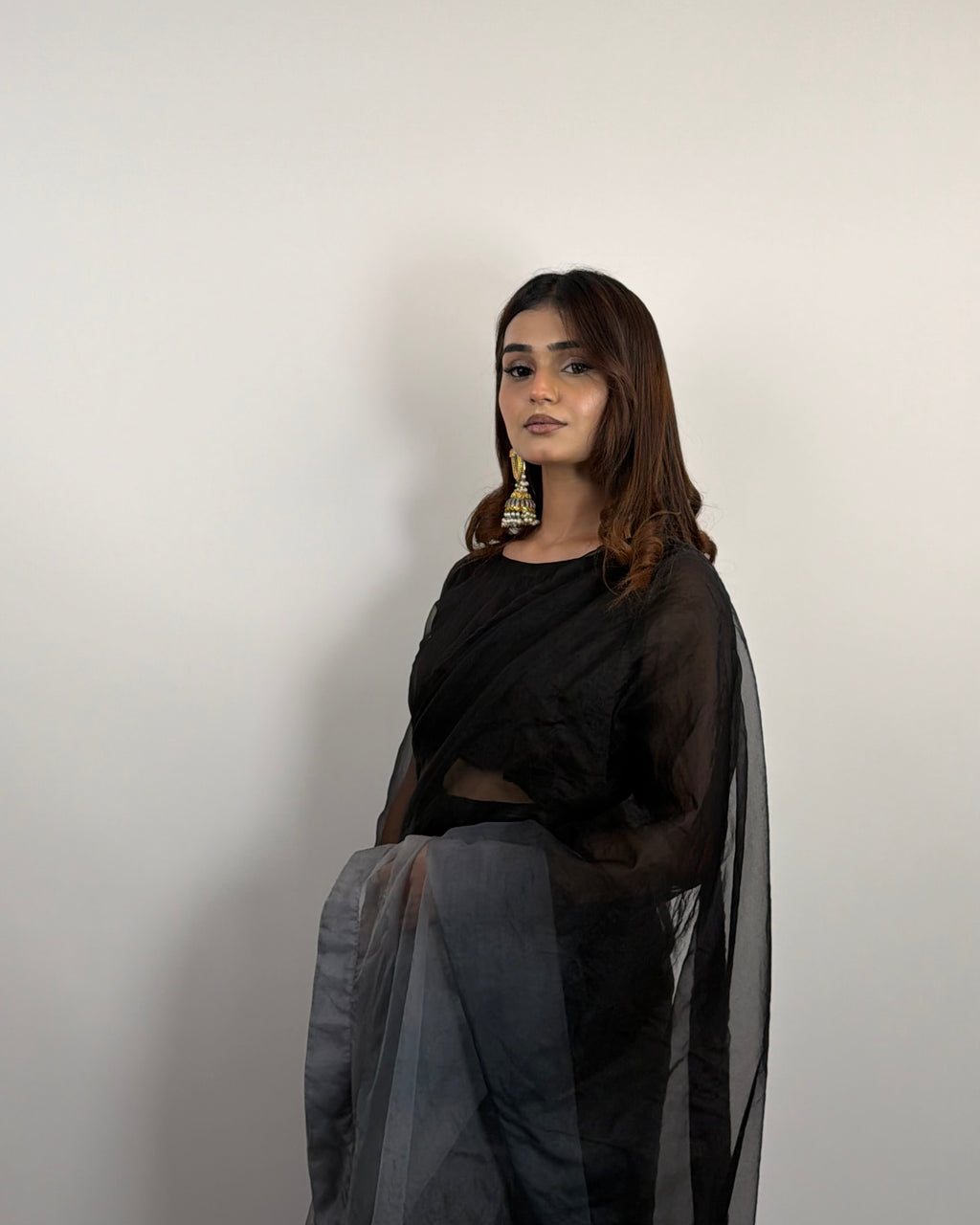 2 SHADES ORGANZA SAREE